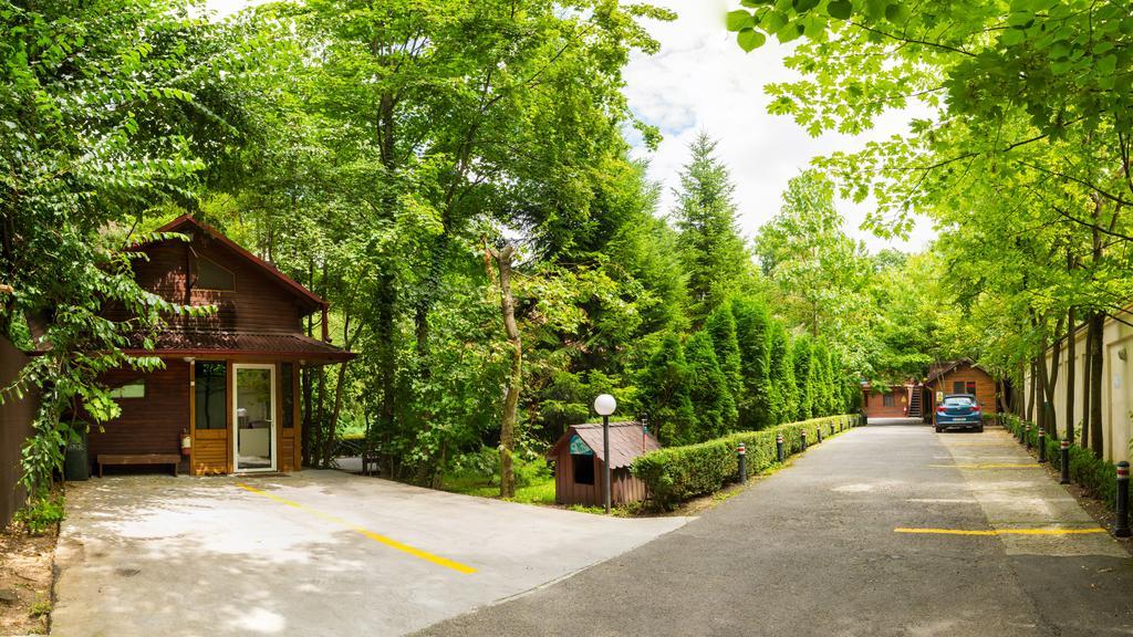 Pensiunea Casa Verde Bucuresti Exteriör bild